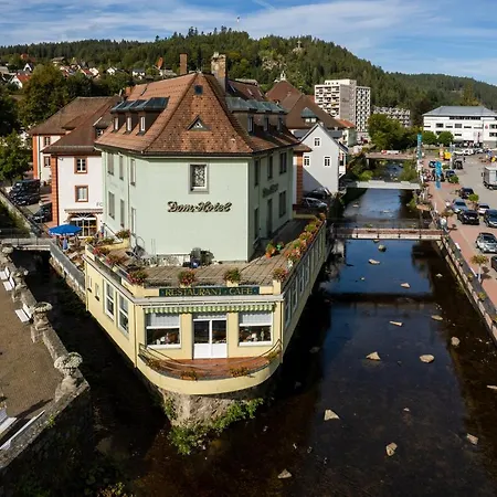 Hotel Dom-hotel St. Blasien