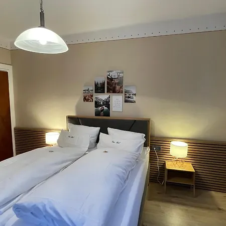 Dom-hotel 3*