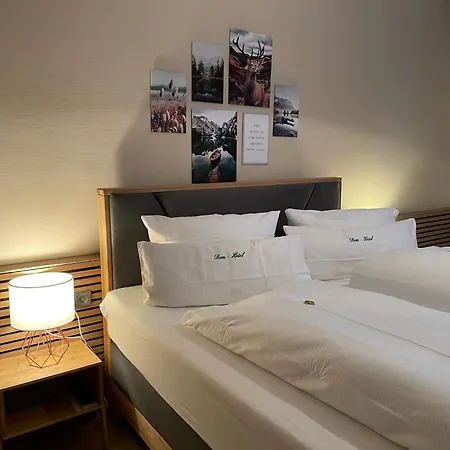 Dom-hotel St. Blasien