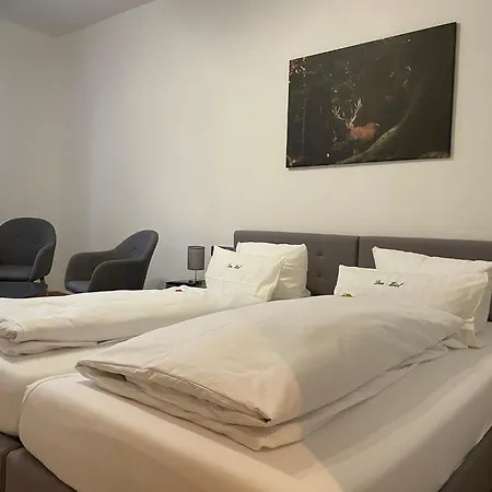 Dom-hotel Hotel