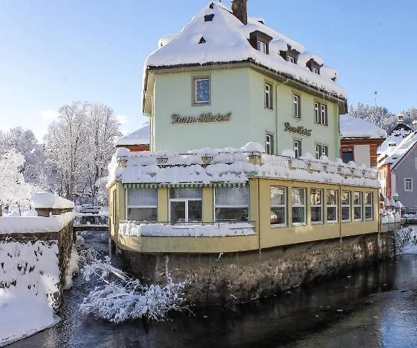 Dom-hotel 3* St. Blasien