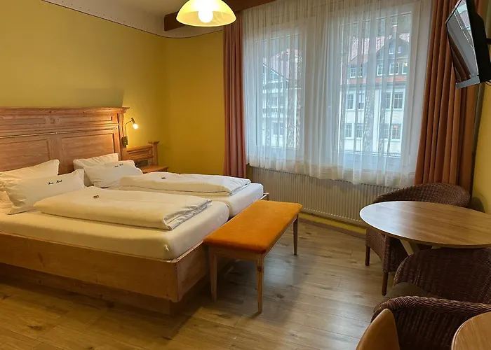 Dom-hotel 3* St. Blasien