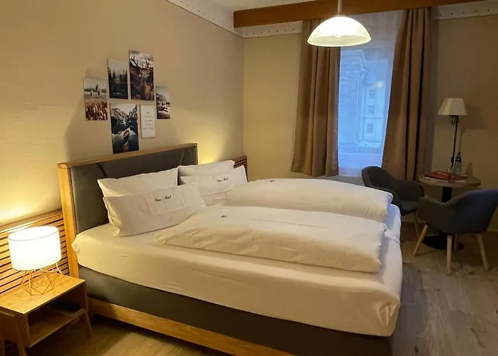 Hotell Dom-hotel Sankt Blasien